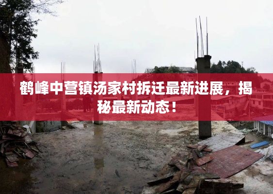 鶴峰中營鎮(zhèn)湯家村拆遷最新進(jìn)展，揭秘最新動態(tài)！