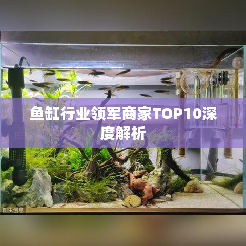 魚缸行業(yè)領(lǐng)軍商家TOP10深度解析