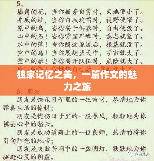 獨家記憶之美，一篇作文的魅力之旅