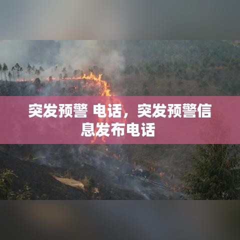 突發(fā)預(yù)警 電話，突發(fā)預(yù)警信息發(fā)布電話 