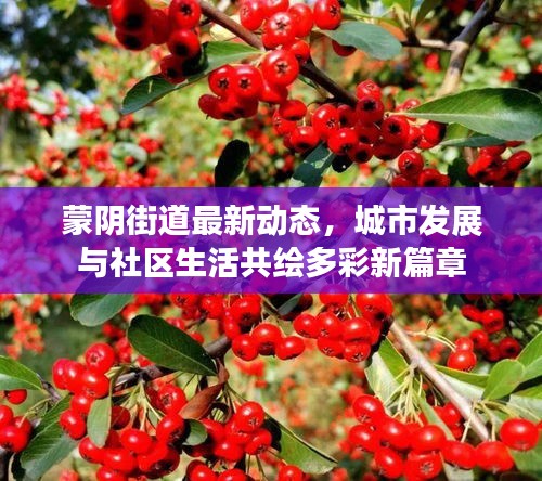 蒙陰街道最新動態(tài)，城市發(fā)展與社區(qū)生活共繪多彩新篇章