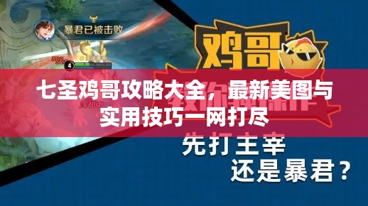 七圣雞哥攻略大全，最新美圖與實用技巧一網(wǎng)打盡