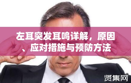左耳突發(fā)耳鳴詳解，原因、應(yīng)對(duì)措施與預(yù)防方法