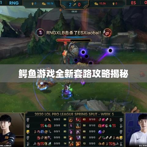 鱷魚游戲全新套路攻略揭秘