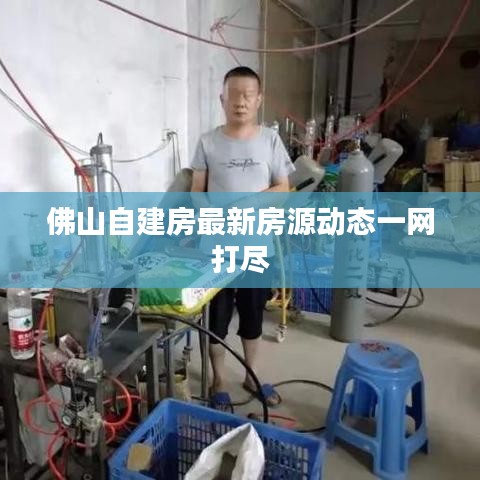 佛山自建房最新房源動態(tài)一網(wǎng)打盡