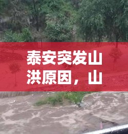 泰安突發(fā)山洪原因，山東泰安洪水情況 