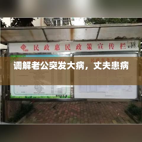 調(diào)解老公突發(fā)大病，丈夫患病 