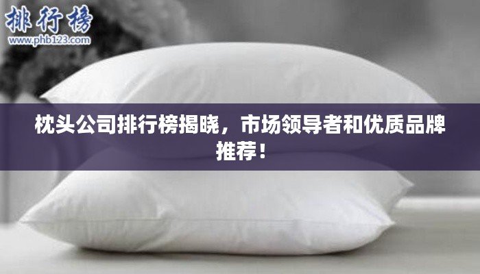 枕頭公司排行榜揭曉，市場領導者和優(yōu)質品牌推薦！