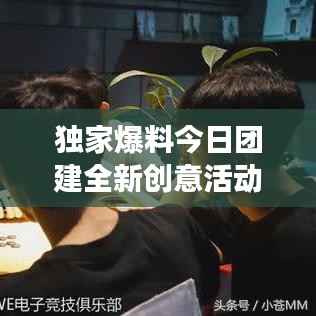 獨(dú)家爆料今日團(tuán)建全新創(chuàng)意活動方案，打造團(tuán)隊(duì)凝聚力超強(qiáng)體驗(yàn)！