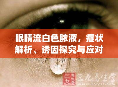 眼睛流白色膿液，癥狀解析、誘因探究與應(yīng)對治療之道