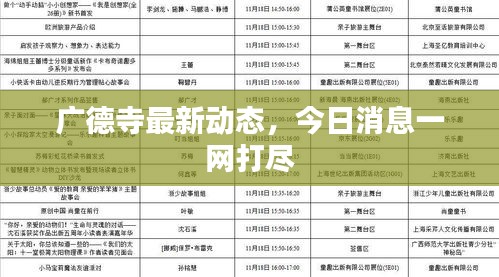 廣德寺最新動態(tài)，今日消息一網(wǎng)打盡