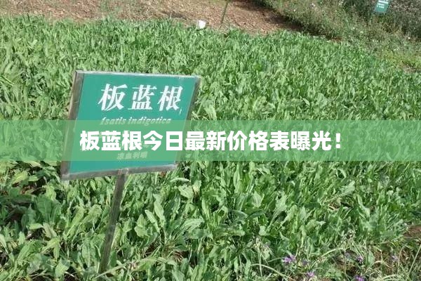 秀才人情紙半張 第3頁(yè)