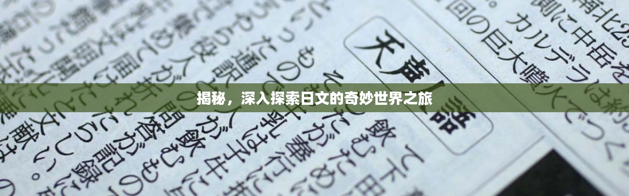 揭秘，深入探索日文的奇妙世界之旅