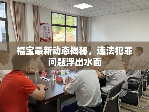 福寶最新動態(tài)揭秘，違法犯罪問題浮出水面