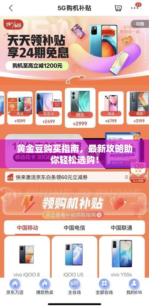 黃金豆購買指南，最新攻略助你輕松選購！