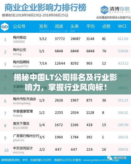 揭秘中國LT公司排名及行業(yè)影響力，掌握行業(yè)風(fēng)向標(biāo)！
