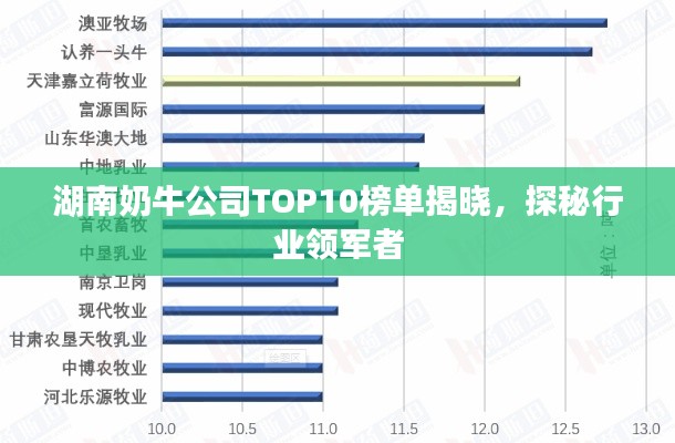 湖南奶牛公司TOP10榜單揭曉，探秘行業(yè)領軍者