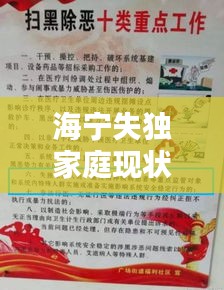 海寧失獨家庭現(xiàn)狀揭秘，關(guān)愛與支持重塑生活希望