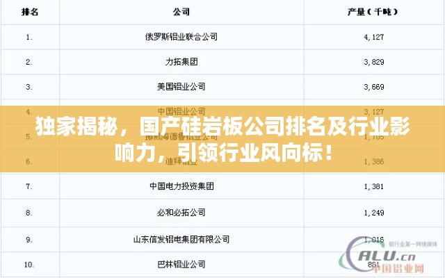 獨家揭秘，國產(chǎn)硅巖板公司排名及行業(yè)影響力，引領(lǐng)行業(yè)風(fēng)向標(biāo)！