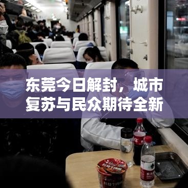 東莞今日解封，城市復蘇與民眾期待全新篇章開啟