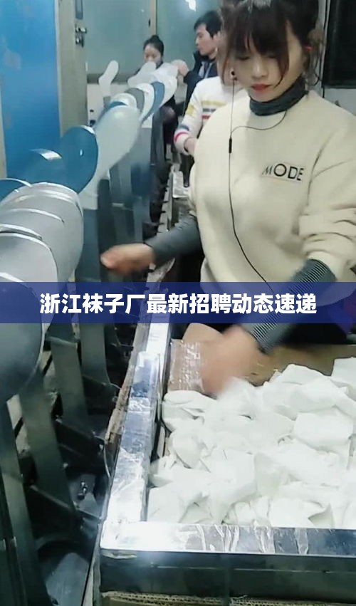 浙江襪子廠最新招聘動態(tài)速遞