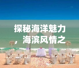探秘海洋魅力，海濱風(fēng)情之旅攻略