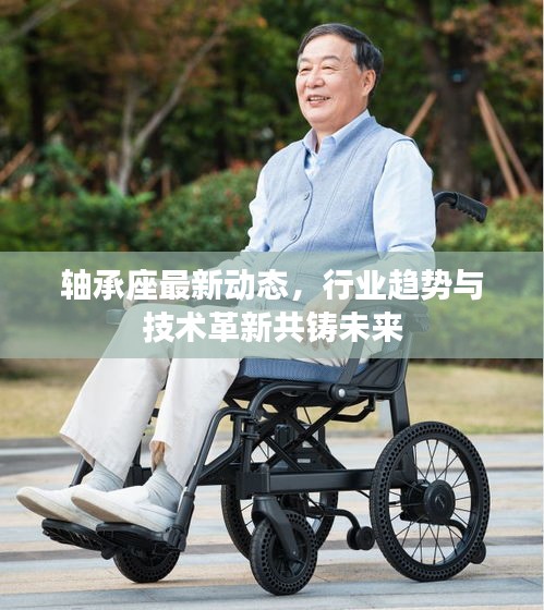 軸承座最新動態(tài)，行業(yè)趨勢與技術革新共鑄未來