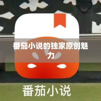 番茄小說的獨(dú)家原創(chuàng)魅力