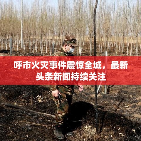 呼市火災(zāi)事件震驚全城，最新頭條新聞持續(xù)關(guān)注