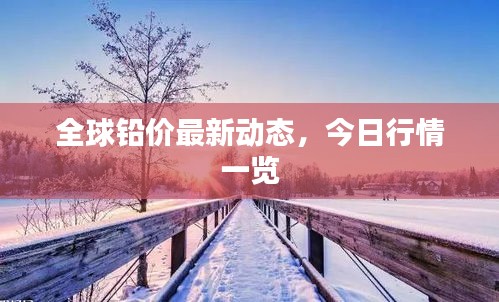 全球鉛價最新動態(tài)，今日行情一覽