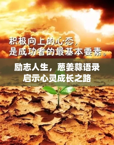 勵志人生，蔥姜蒜語錄啟示心靈成長之路