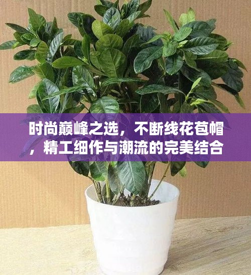 時(shí)尚巔峰之選，不斷線花苞帽，精工細(xì)作與潮流的完美結(jié)合