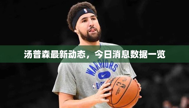 湯普森最新動(dòng)態(tài)，今日消息數(shù)據(jù)一覽