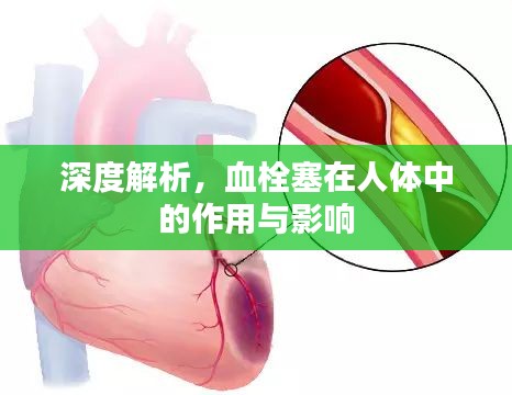 深度解析，血栓塞在人體中的作用與影響