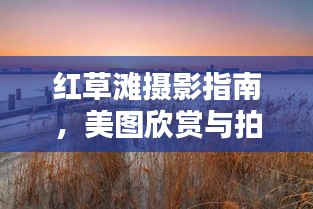 食淡衣粗 第3頁