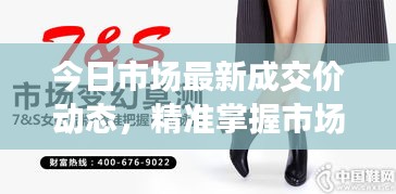 今日市場最新成交價動態(tài)，精準(zhǔn)掌握市場脈搏