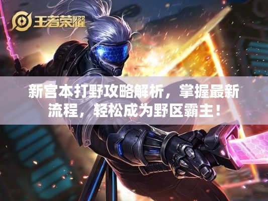新宮本打野攻略解析，掌握最新流程，輕松成為野區(qū)霸主！