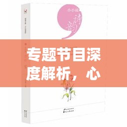 專題節(jié)目深度解析，心得感悟與啟示