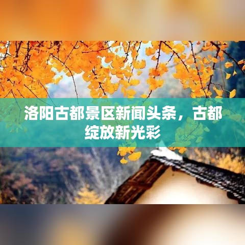 洛陽古都景區(qū)新聞?lì)^條，古都綻放新光彩