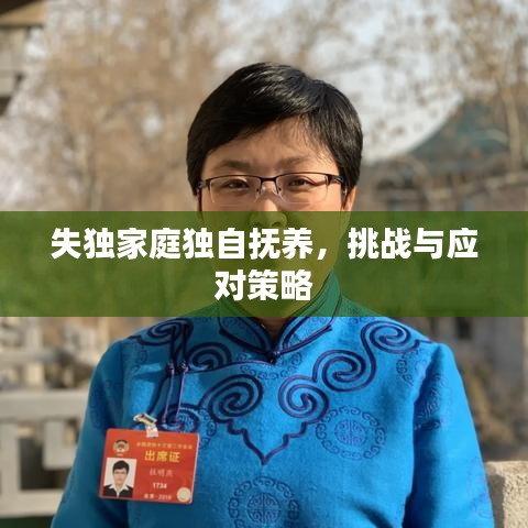 失獨(dú)家庭獨(dú)自撫養(yǎng)，挑戰(zhàn)與應(yīng)對(duì)策略
