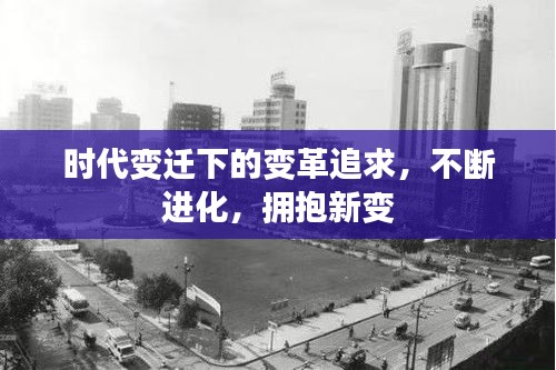 物稀為貴 第2頁(yè)