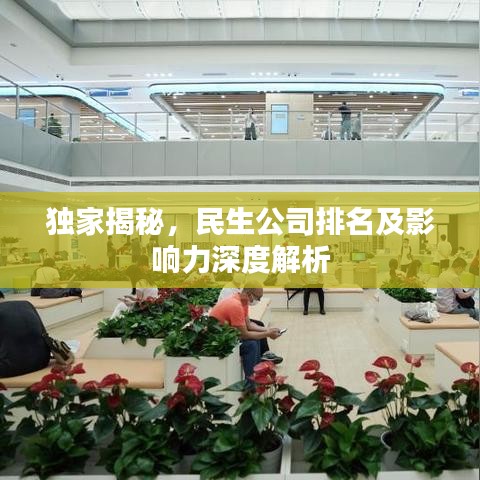 獨家揭秘，民生公司排名及影響力深度解析