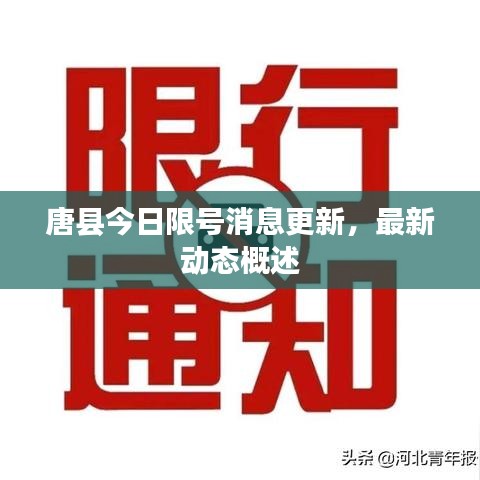 唐縣今日限號消息更新，最新動態(tài)概述