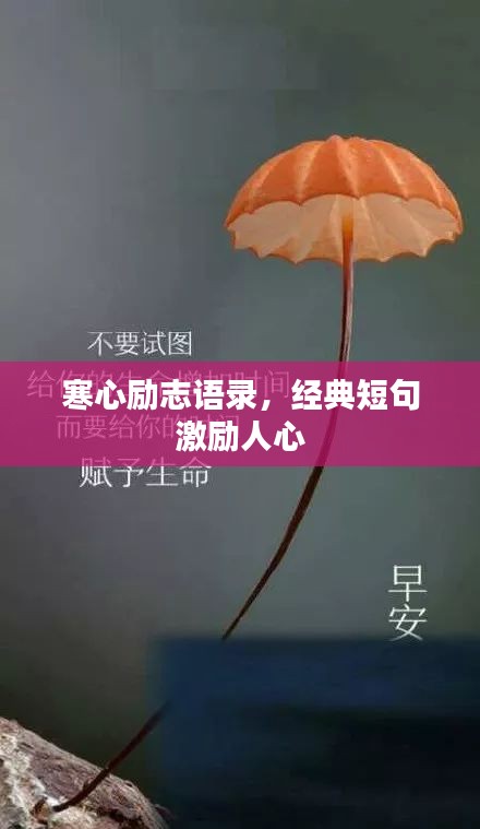 寒心勵志語錄，經(jīng)典短句激勵人心