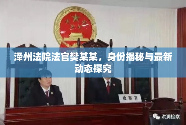 澤州法院法官樊某某，身份揭秘與最新動態(tài)探究