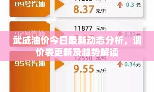武威油價今日最新動態(tài)分析，調(diào)價表更新及趨勢解讀