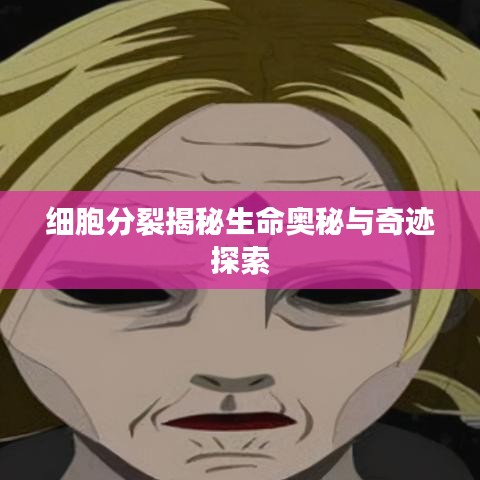 細(xì)胞分裂揭秘生命奧秘與奇跡探索