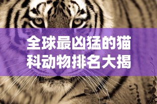 全球最兇猛的貓科動(dòng)物排名大揭秘！