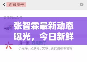 張智霖最新動態(tài)曝光，今日新鮮資訊一網(wǎng)打盡