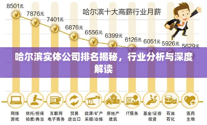 哈爾濱實體公司排名揭秘，行業(yè)分析與深度解讀